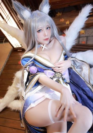 向风而行电视剧