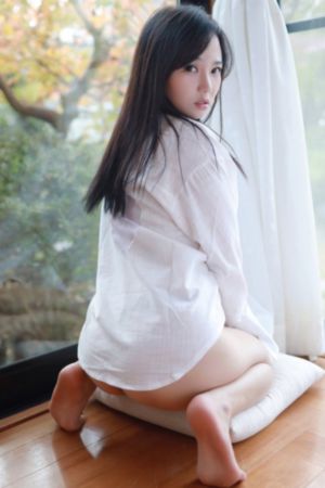 临冬城市免费观看高清