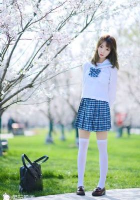 金装四大才子电视剧