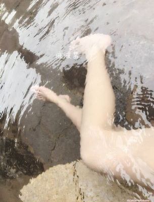 城中之城电视剧免费观看全集