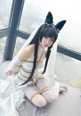 朝云散电视剧免费观看