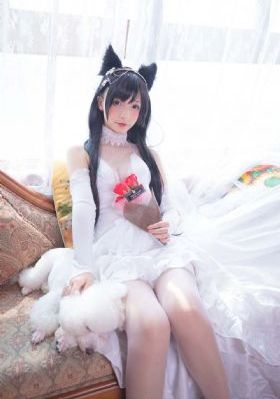 女友的妺妺6中文字幕