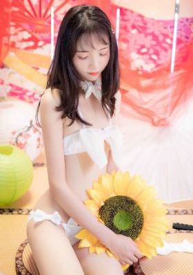 1—36集电视剧免费